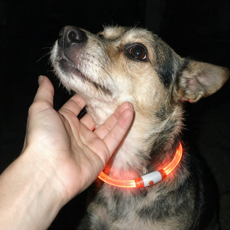Ember Orange